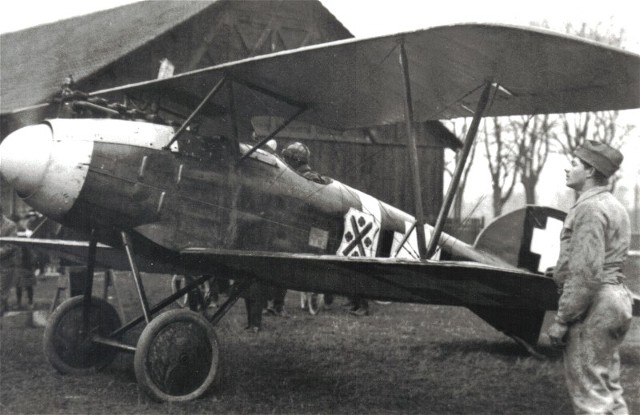     Albatros D.III OAW,  1/32, : Rod608 # 8 hobbyplus.ru