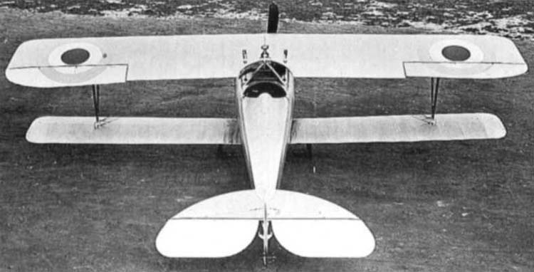    - Nieuport 24,  RODEN,  1/32, : Rod618 # 8 hobbyplus.ru