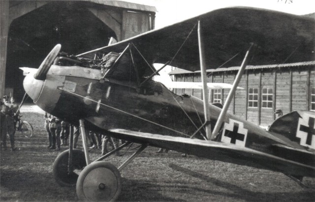     Albatros D.III OAW,  1/32, : Rod608 # 10 hobbyplus.ru