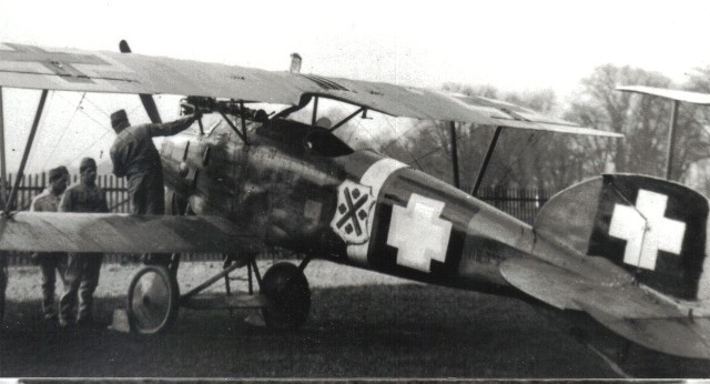     Albatros D.III OAW,  1/32, : Rod608 # 9 hobbyplus.ru