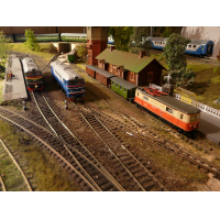 ���� ������� �������� �����, ���, ������, ������, �������. 