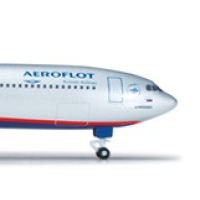 ������������ ������ ���������, ������ ����������� ������� ����, ������