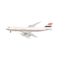 ������ ������� ������������� ������ ����� 747-8 BBJ � SU-EGY. 1:500 538039.
