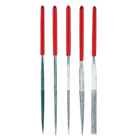 ���� �������