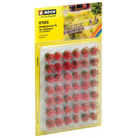 ����-����� 