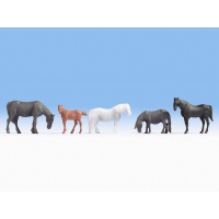 ������� ������, NOCH ������� 18215