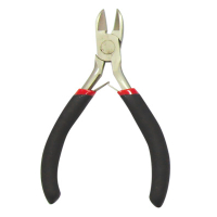 ���� �������