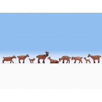 ������� ����, NOCH ������� 15752