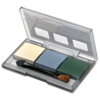 ����� ��������� � (������-��� ���.�������, �����-��� ���.������� � �������� ��������, �������-��� ����� ���������).TAMIYA, �������:87098