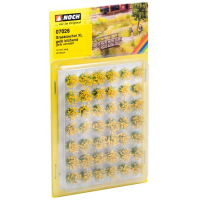 ����-����� 