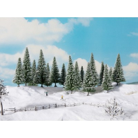 ����������� ���, 6 ��., ������ 14-18 ��, ��� ������� �������� ������ �������� O, HO, TT, NOCH ������� 24682