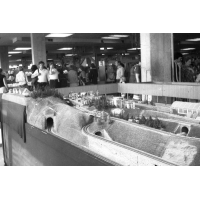 ���� ������� ������ �������� ������ ���, � �������� �������, ������ 1980 ����.