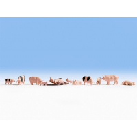 ������� ������, NOCH ������� 15712