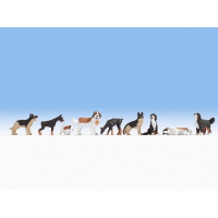 ������� �����, NOCH ������� 15717