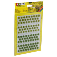 ����� ����� 