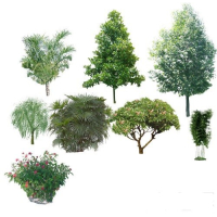 ���������, �������, �������� �������� ���������� � ��������.