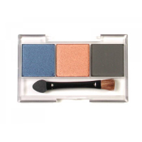 �������� D (���������� �������, ���������� �����, ���������-����� ��������), TAMIYA, �������: 87088