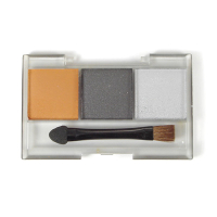 �������� C (�����.��������, gun metall, silver), TAMYIA, �������: 87085