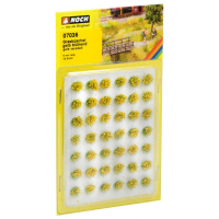 ����-����� 