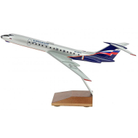 ������ ������������� �������� ��-134 �������� ������, ������� 1:144, ����� 25,7 ��.